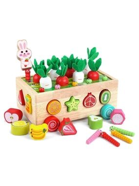 Wooden educational shapes and fruit peg toy